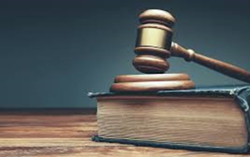 Tòa án nhân dân tối cao công bố thêm 08 án lệ mới